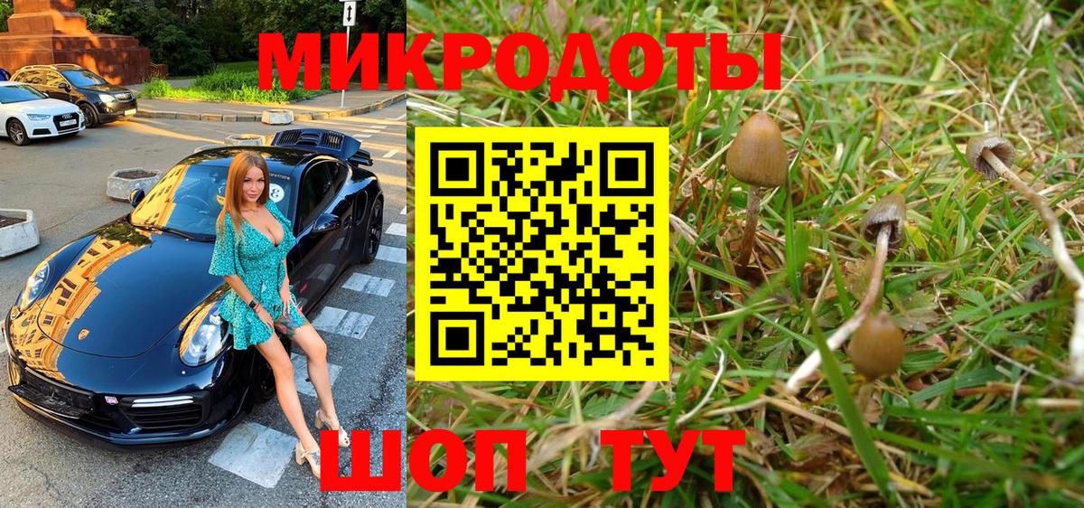 Жигулёвск  купить наркотик  Вход с VPN  Псилоцибиновые грибы ЛСД 