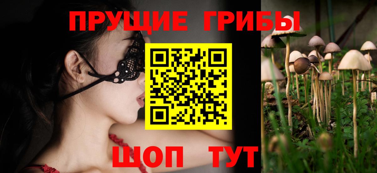 Псилоцибиновые грибы мухоморы Жигулёвск